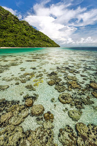 Scenic view of sea against sky