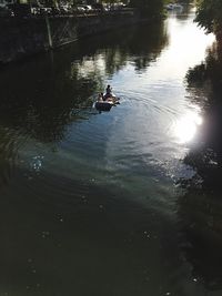Reflection of trees in water