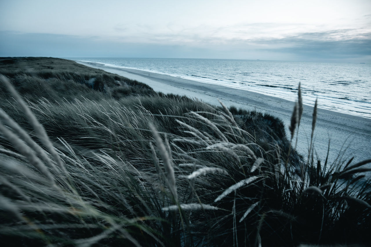 SCENIC VIEW OF BEACH AGAINST SEA