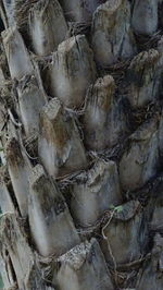 Full frame shot of stone wall