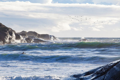 Seagulls flying over sea