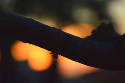 Close-up of hand against sky during sunset