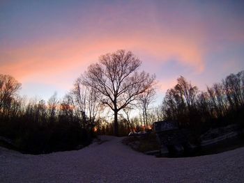 Road amidst bare trees against sky during sunset