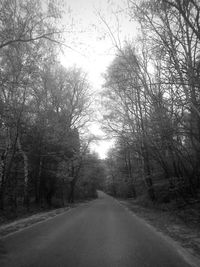 Road amidst bare trees in forest