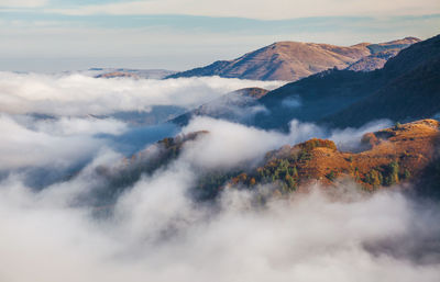 Scenic view of trees on foggy landscape against sky