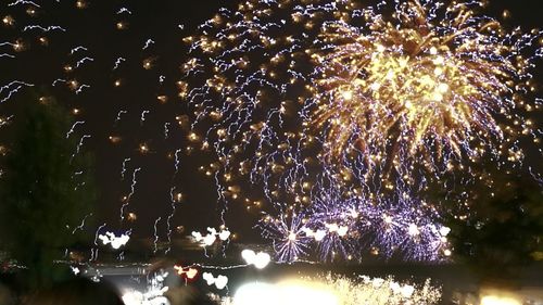 Low angle view of firework display at night