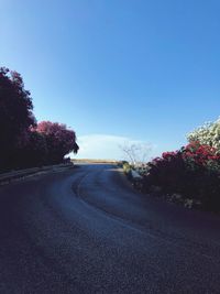 Empty road by trees against clear blue sky