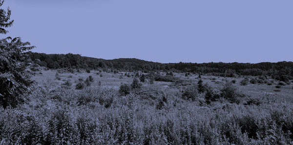 Scenic view of landscape against clear sky