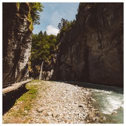 Scenic view of river amidst trees against sky