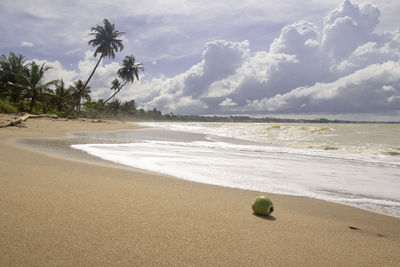 Scenic view of beach against sky