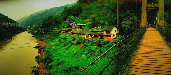 Footpath leading to mountain