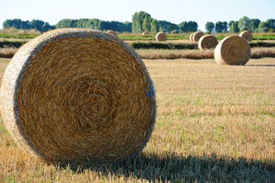 Straw bales