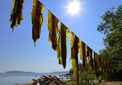 Low angle view of clothes hanging against blue sky