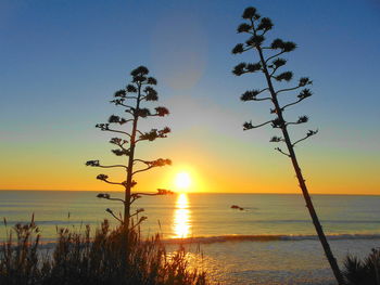 Scenic view of sea against sky at sunset