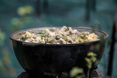 Close-up of food in bowl