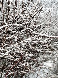 Full frame shot of snow covered land