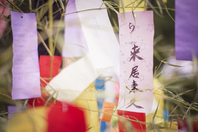Close-up of text on paper
