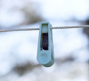 Old plastic clothes peg hanging on a clothesline