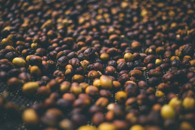 Full frame shot of coffee beans