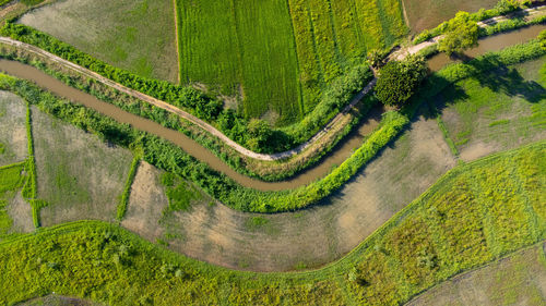 High angle view of agricultural field