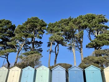 Beach huts at mudeford 