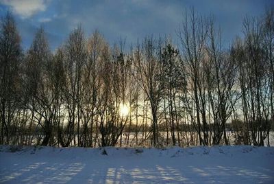 Bare trees against sky during sunset