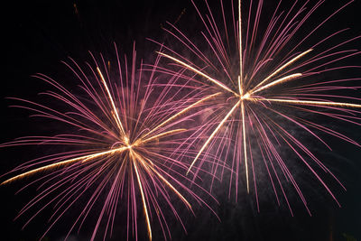 Low angle view of firework display at night