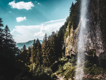 Scenic view of waterfall in forest against sky