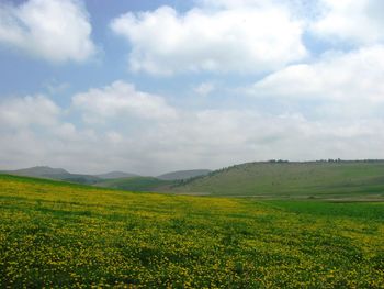 Scenic view of field against cloudy sky