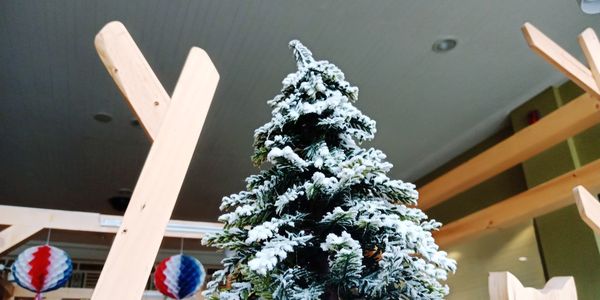 Low angle view of christmas tree during winter