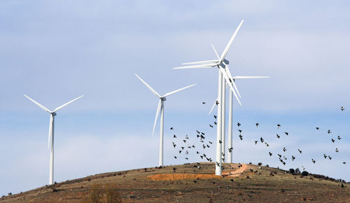 Low angle view of windmill on land against sky