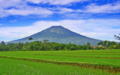 Mountain sumbing - clean natural mountain scenery with bright blue sky with countryside below