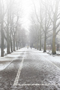 Road amidst bare trees during winter