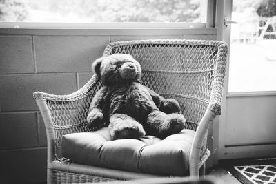 Teddy bear on chair