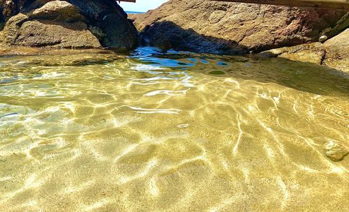 Scenic view of beach