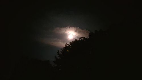Low angle view of silhouette trees against sky at night