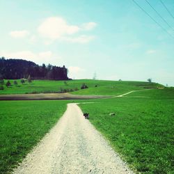 Road passing through grassy field