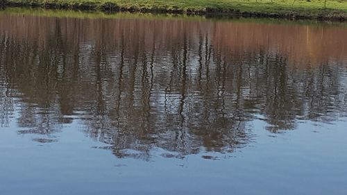 Scenic view of lake
