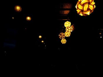 Low angle view of illuminated flowering plants at night