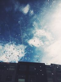 window