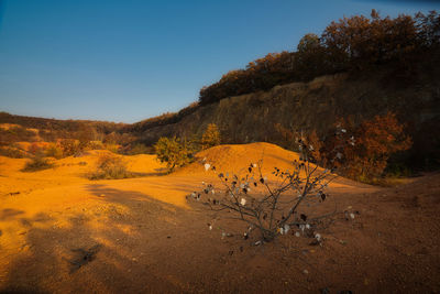 Scenic view of land against clear sky