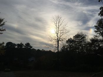 Silhouette of trees against sky