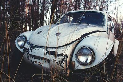 Close-up of old car