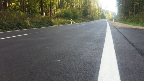 Surface level of empty road along trees