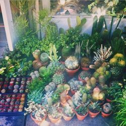 Full frame of fruits for sale in market