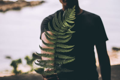 Close-up of man holding fern