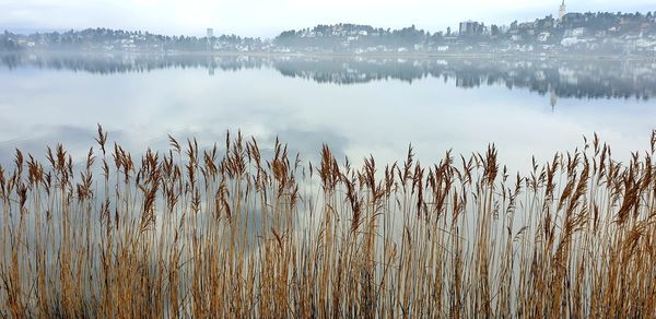 Panoramic view of lake against sky