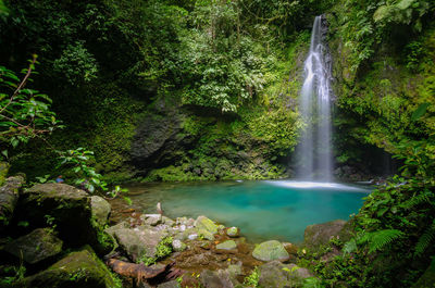 Waterfall in forest