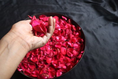 Close-up of hand holding red roses