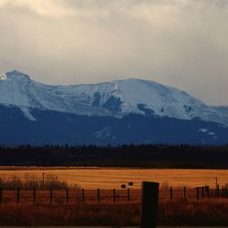 Scenic view of field and mountains against sky